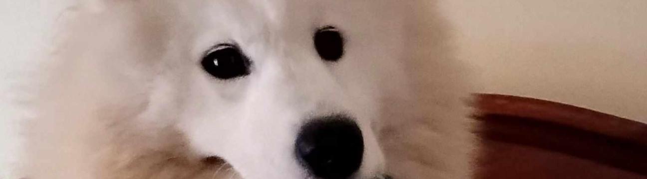 Greg